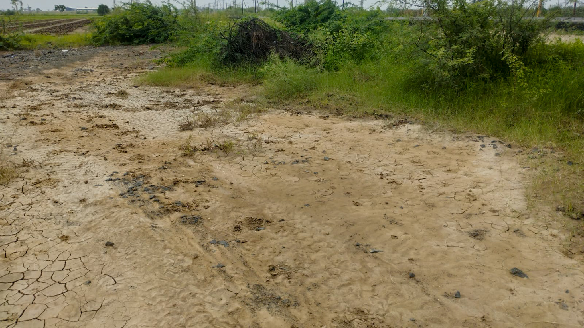 29200 square meter OPEN PLOT FOR INDUSTRIAL USE for sale in MALVAN Surendranagar — photo 18