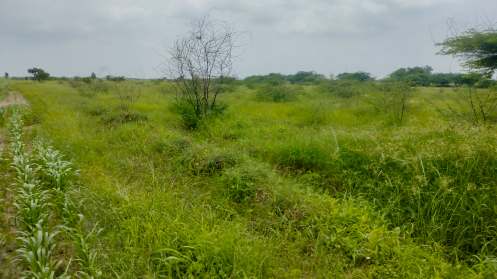 29200 square meter OPEN PLOT FOR INDUSTRIAL USE for sale in MALVAN Surendranagar — photo 22
