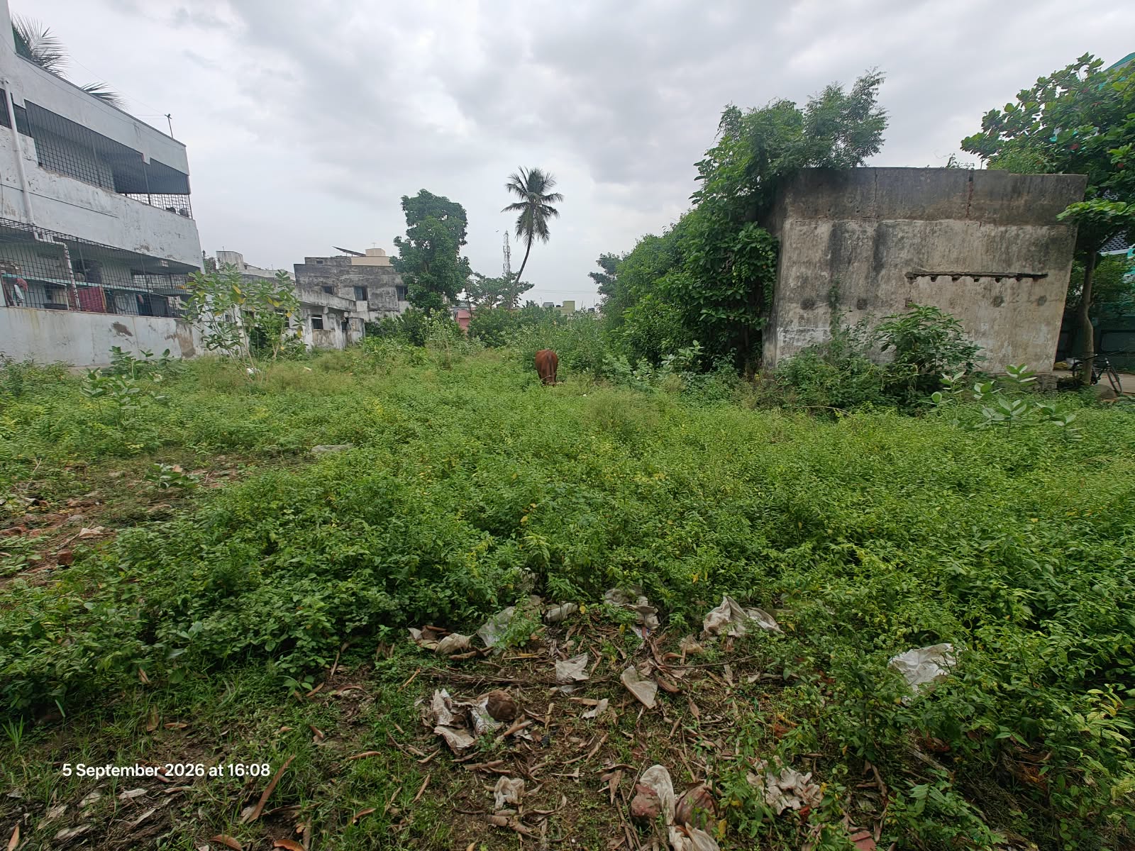 1048 square yard Plot for sale in Vizianagaram