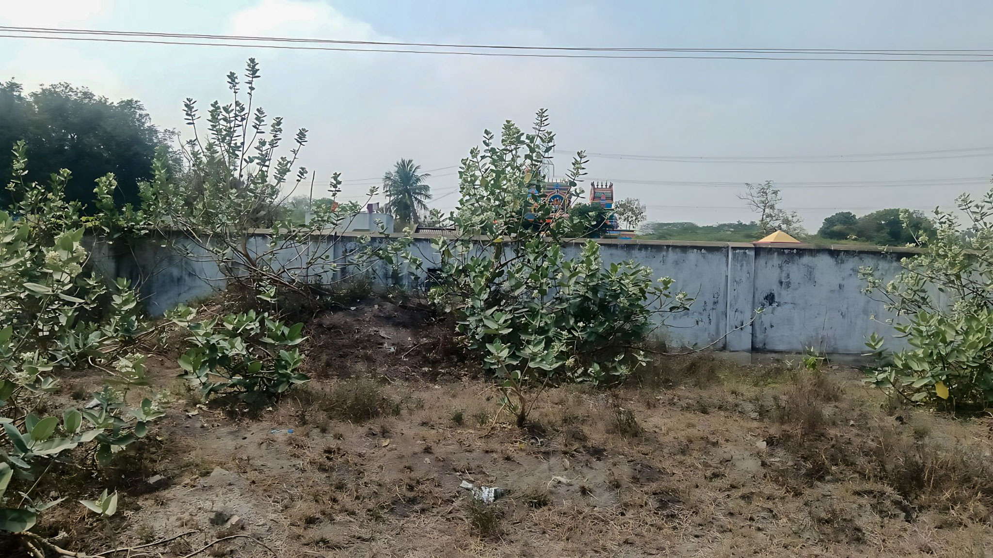 36624 square feet Industrial Plot with Factory Building for sale in Mathalampadi Village Jammambattu — photo 4