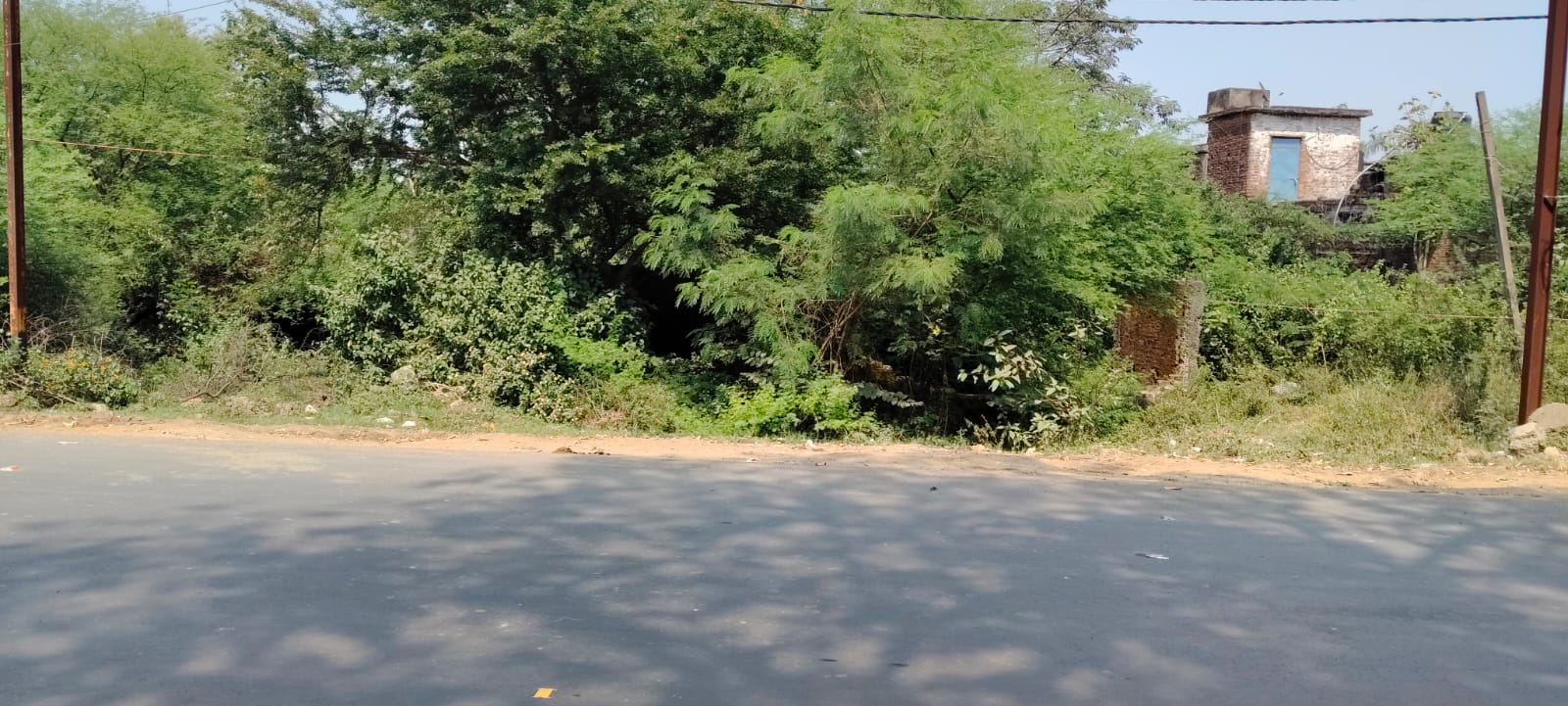 6000 square feet Plot for sale in Jabalpur