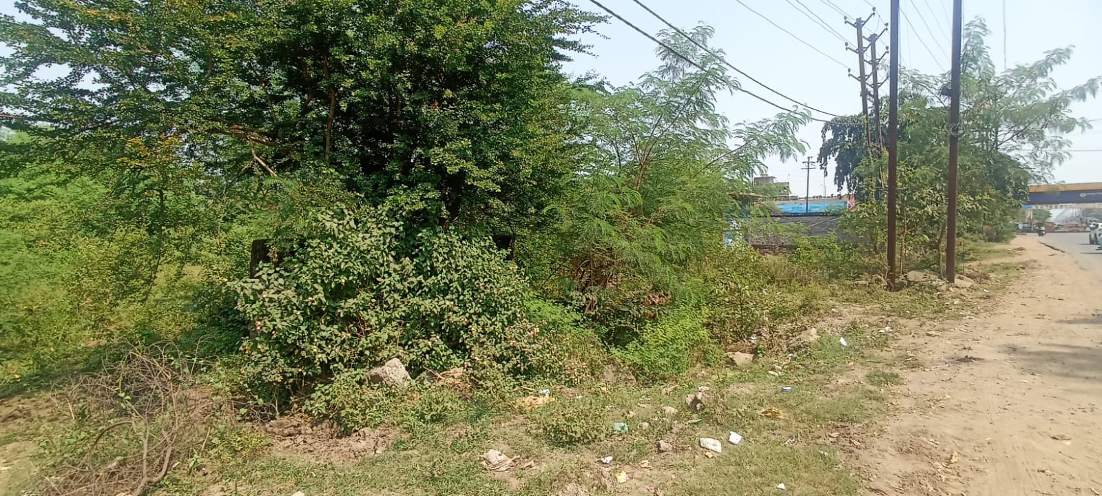6000 square feet Plot for sale in Jabalpur — photo 3