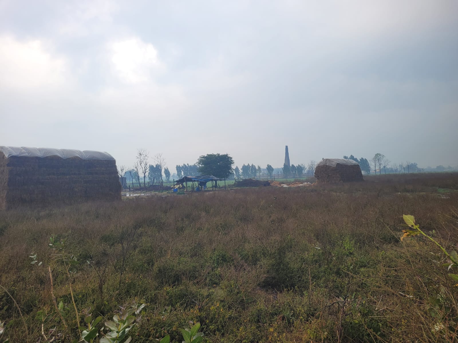 5414 square yard Mixed for sale in Mullanpur Dakha — photo 1