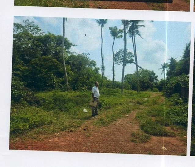 Plot for sale in Faisal, Thrissur Thrissur — photo 4