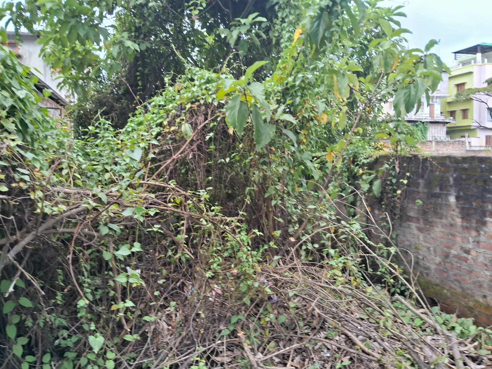 7200 square feet Plot for sale in Guwahati — photo 3
