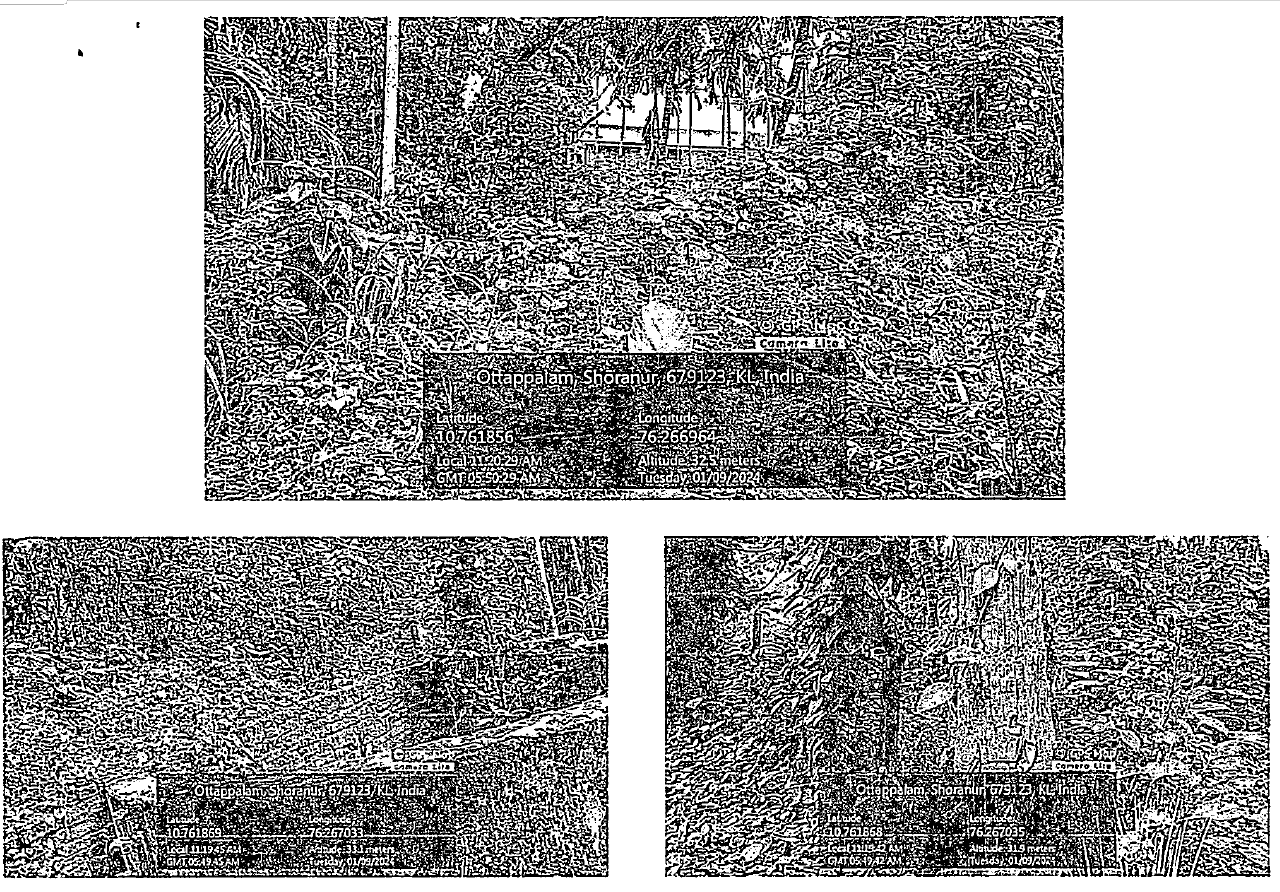 Plot for sale in Shoranur