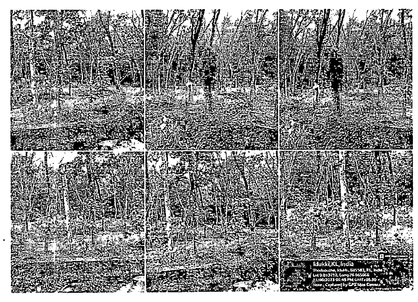 Plot for sale in Thodupuzha