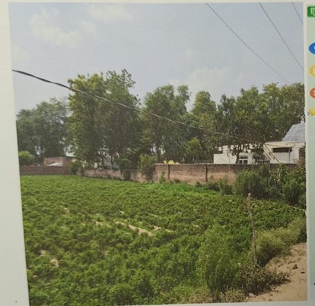 1800 square meter Agriculture Land for sale in Mamtamau Barabanki