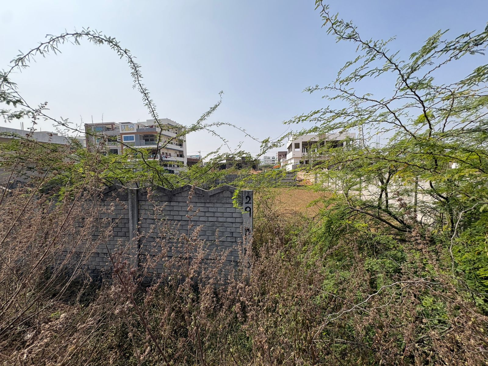 236 square yard Plot for sale in Ballepalle — photo 5