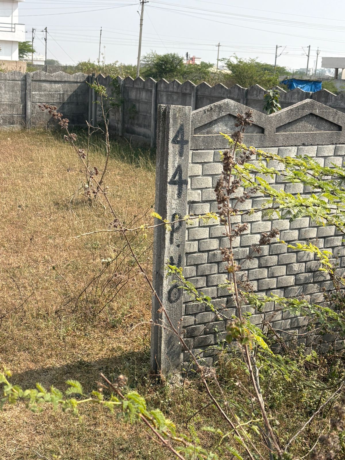 208 square yard Plot for sale in Ballepalle — photo 3