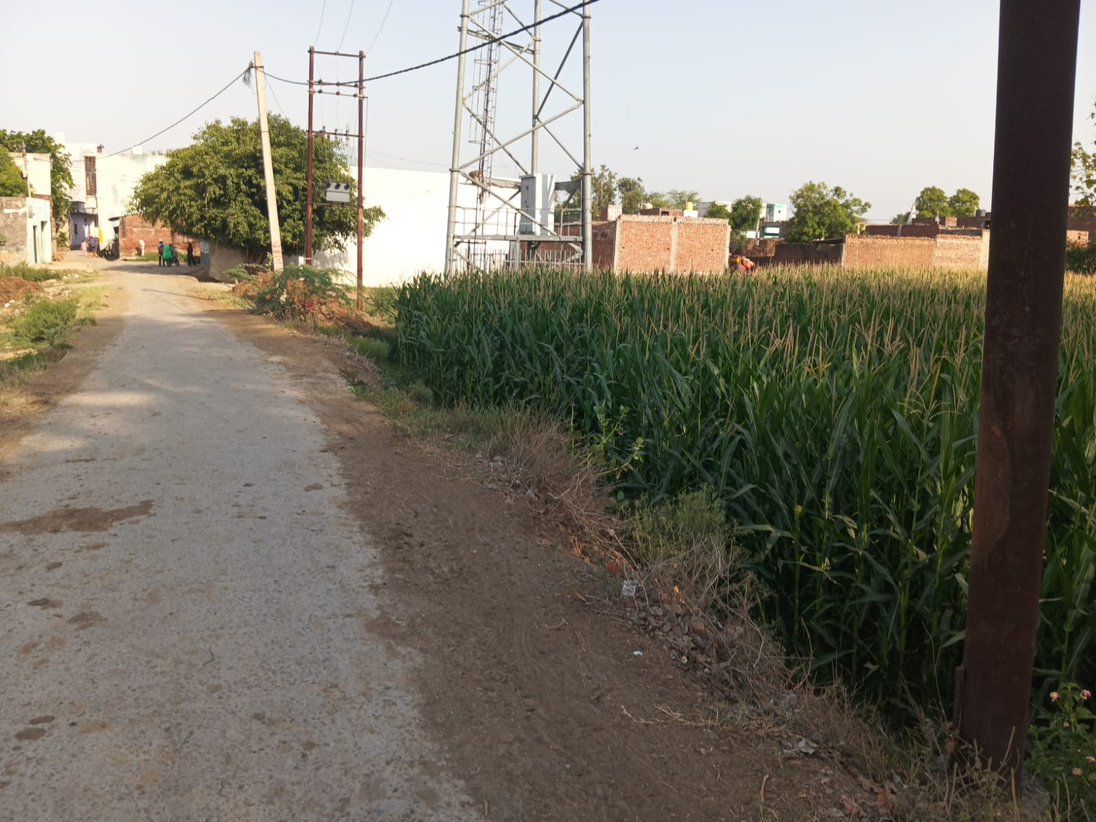 Plot for sale in Garhi Tamana