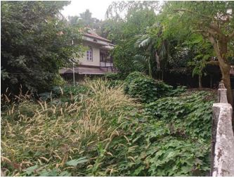2992 square feet Plot for sale in Parakkad village, Thrissur Adat