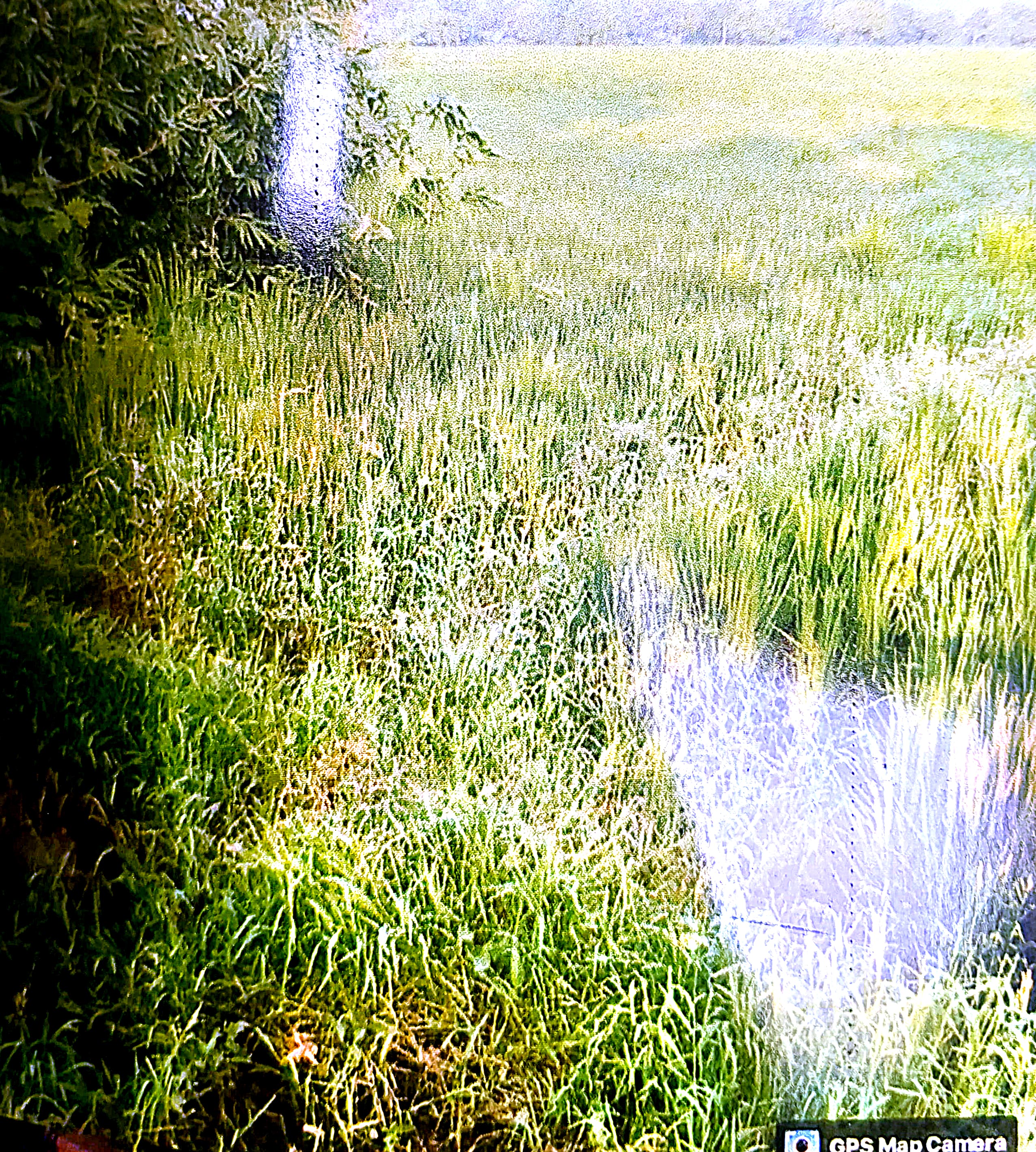 6969.6 square feet Plot for sale in Arrah