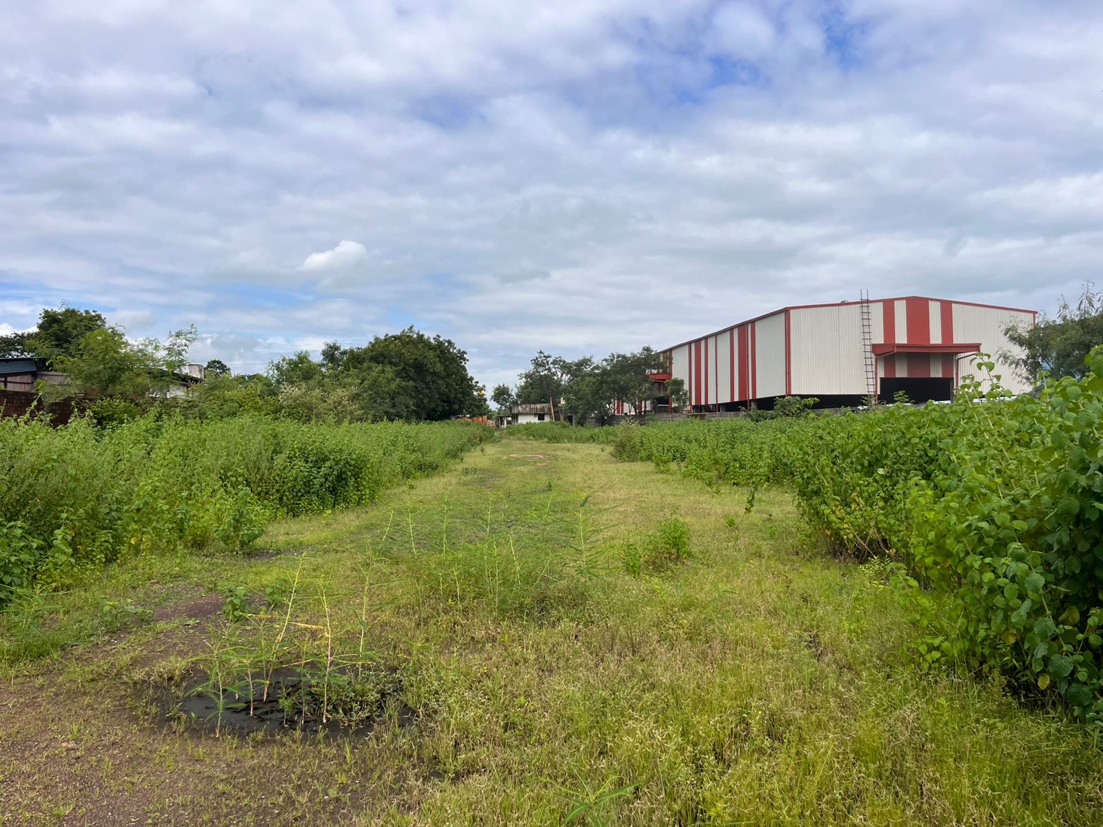 Industrial Plot with Factory Building for sale in Aklordih Bhilai