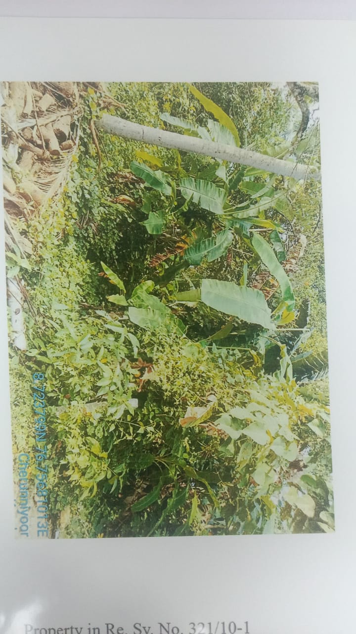 VACCANT LAND for sale in Punalur