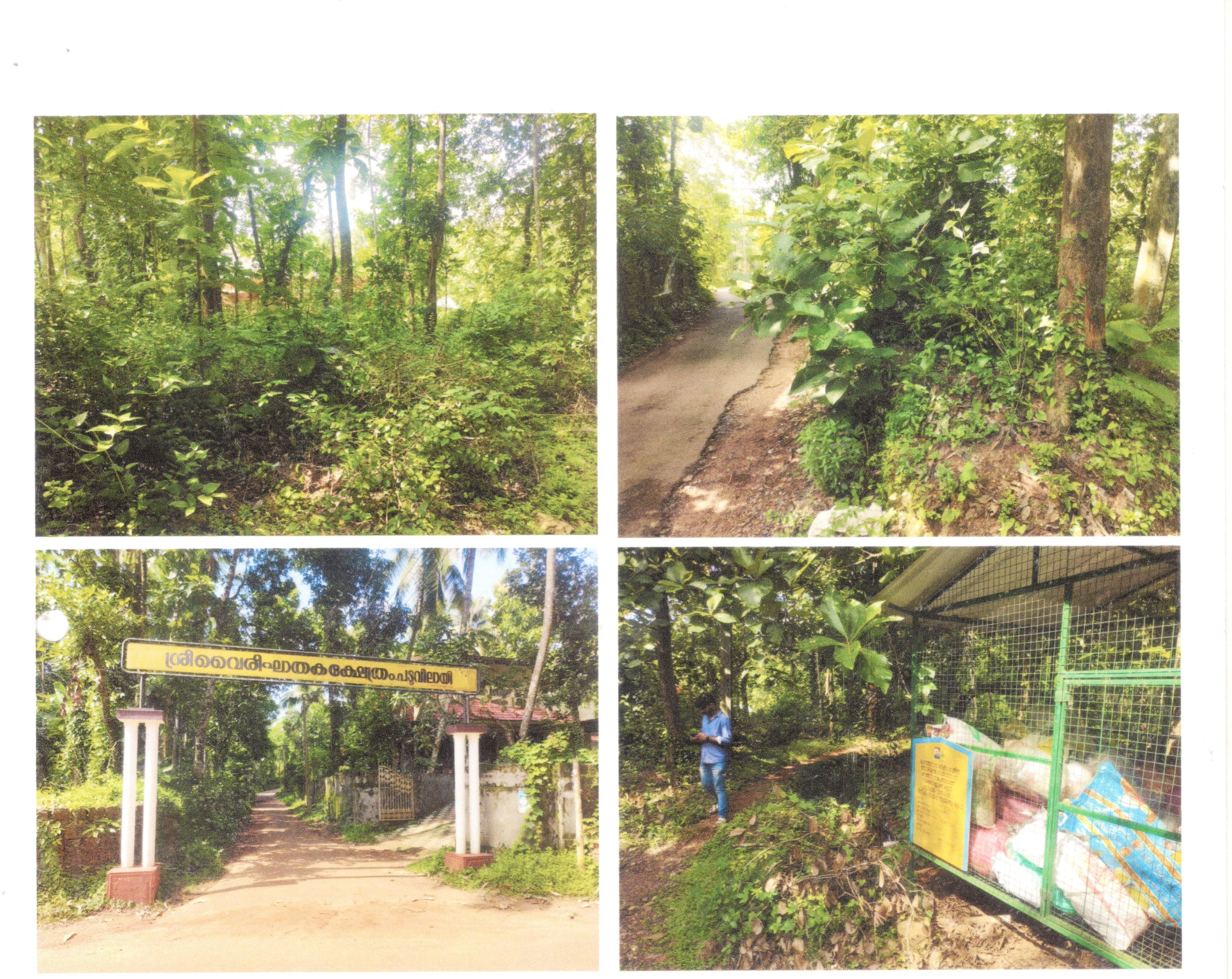 Plot for sale in Thrissur