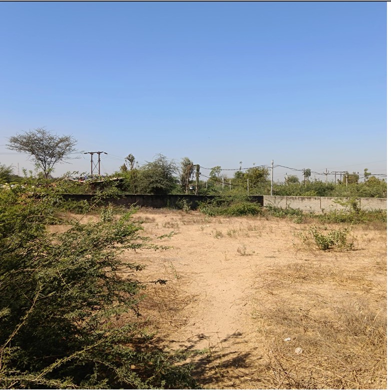 1620 square meter Industrial Plot for sale in Village: Thara, Taluka: Kankarej, Dist: Banaskantha Thara