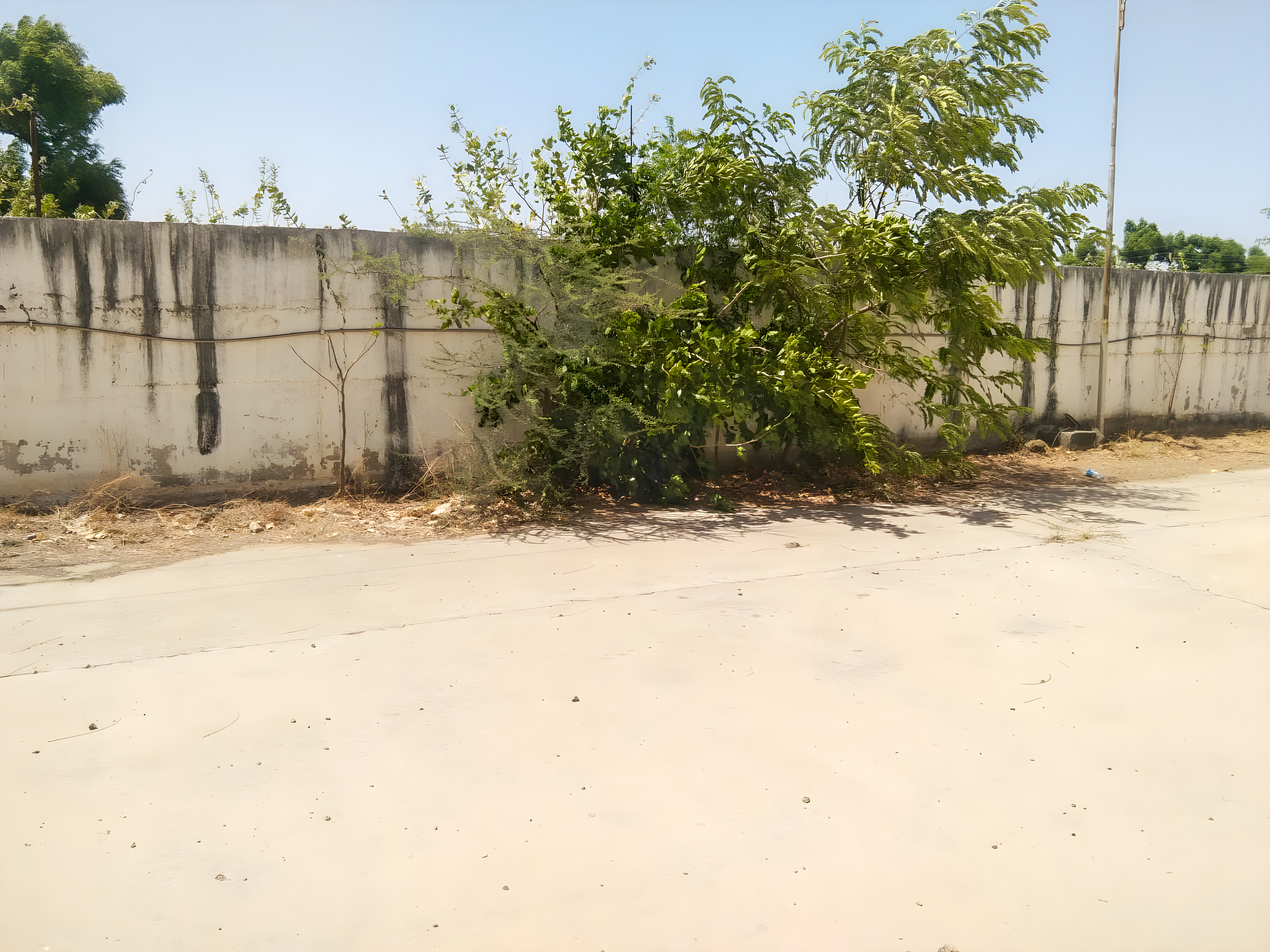 30655 square meter Industrial Plot with Factory Building for sale in Chora, Deesa Dhanera — photo 22