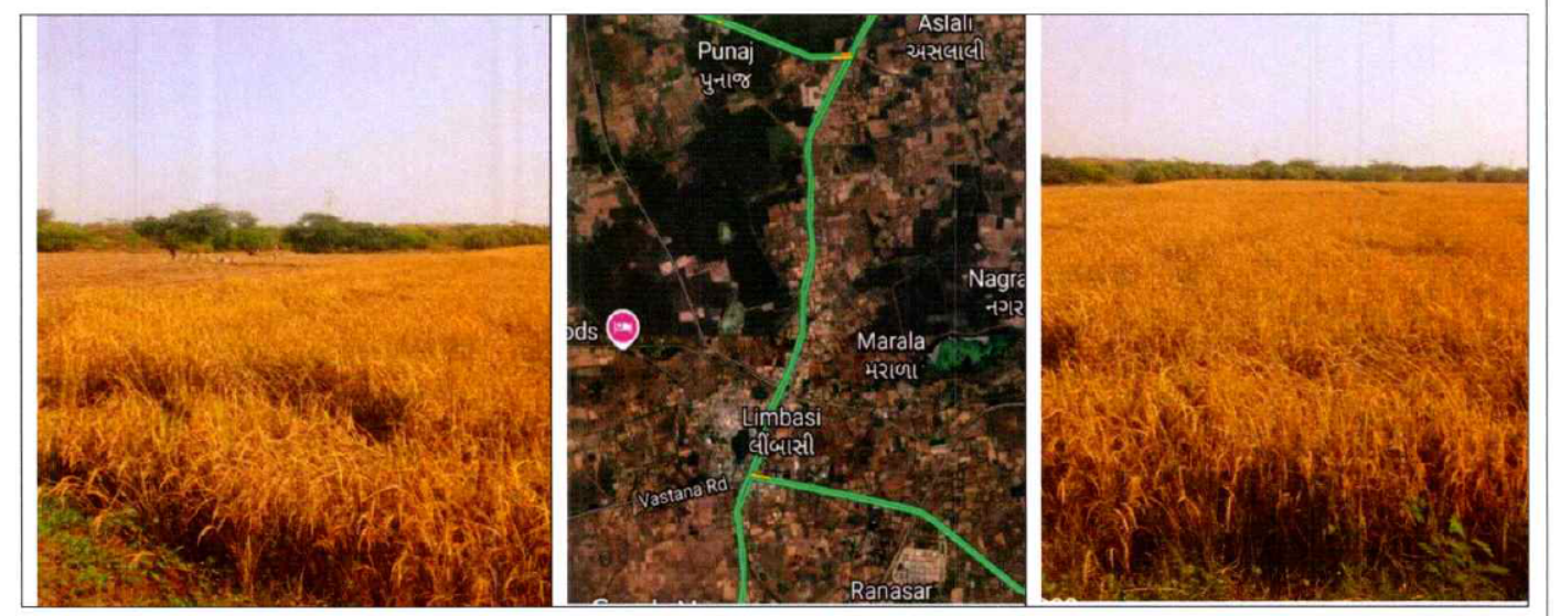 2023 square meter Agriculture Land for sale in SURVEY NO 1009, KHATA NO 2344 AREA IN HECT 0-20-23 VILLAGE LIMBASI TALUKA MATAR KHEDA Limbasi
