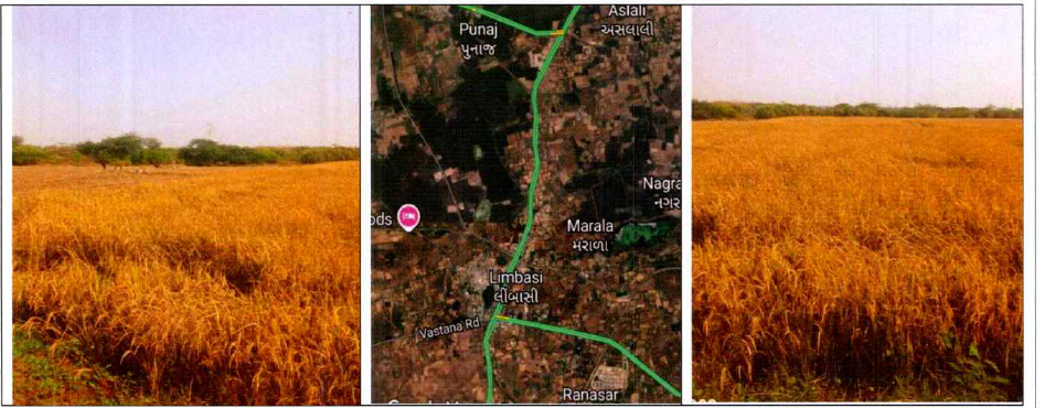 3946 square meter Agriculture Land for sale in SURVEY NO 1014 KHATA NO 2343 AREA OF LAND IN HECT 0-39-46 AT VILL LIMBASI, DISTT KHEDA Limbasi
