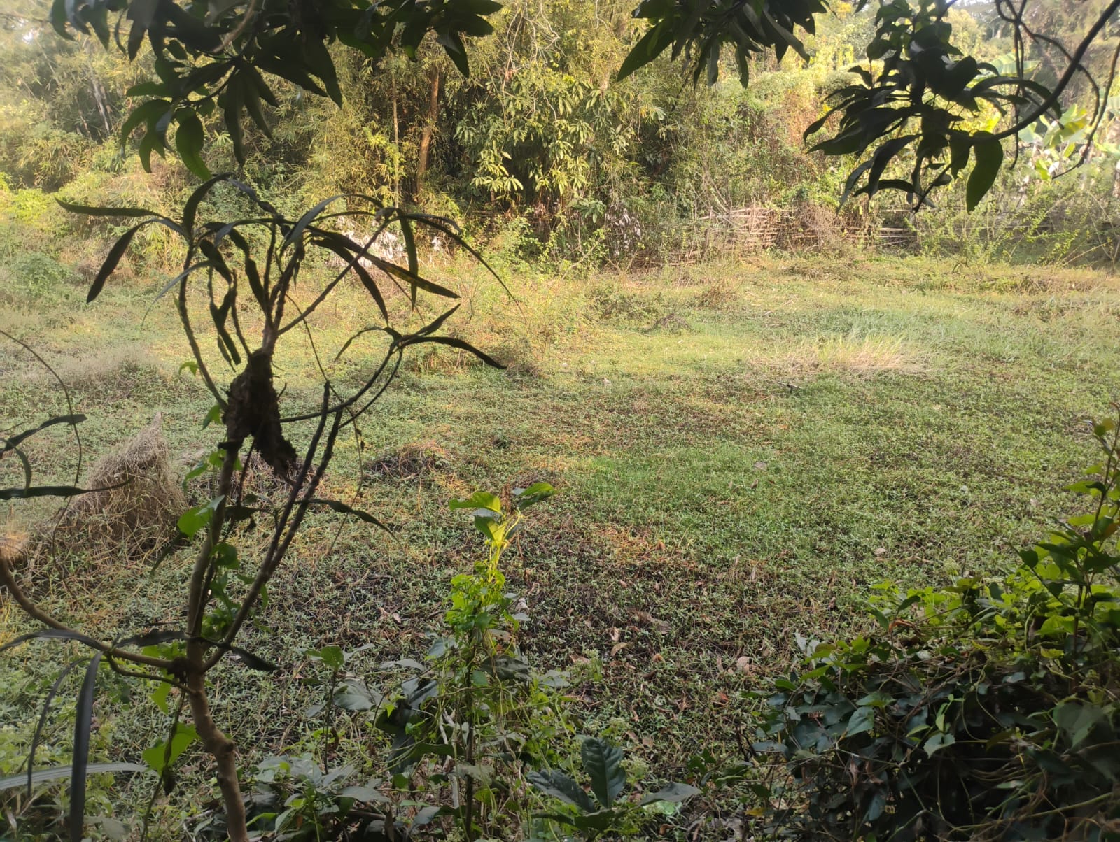 8712 square feet Plot for sale in TALATAPANDA BASTA BALASORE BAHARDA BAZAR