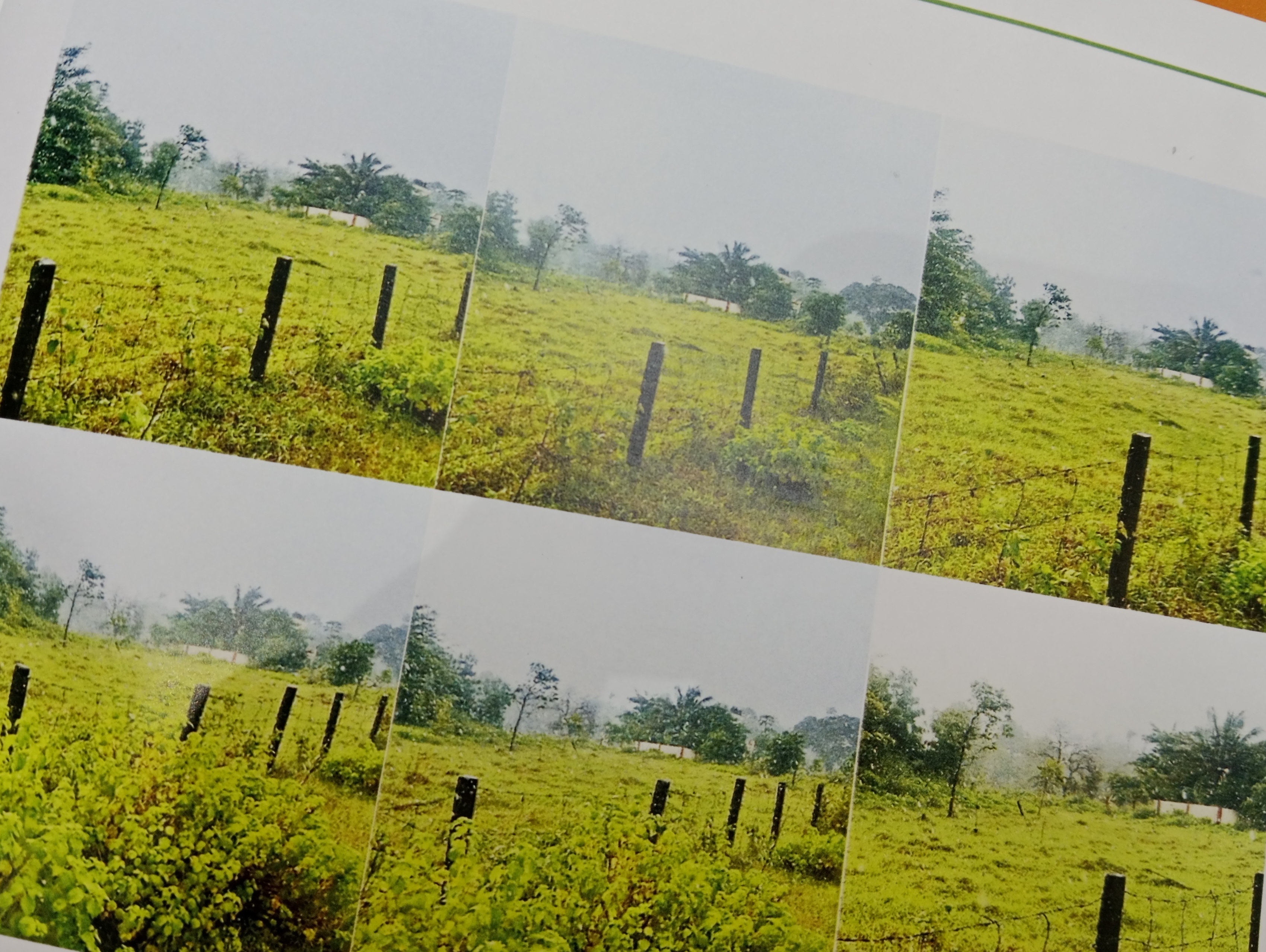 Plot for sale in PUDUSSERY Pudussery