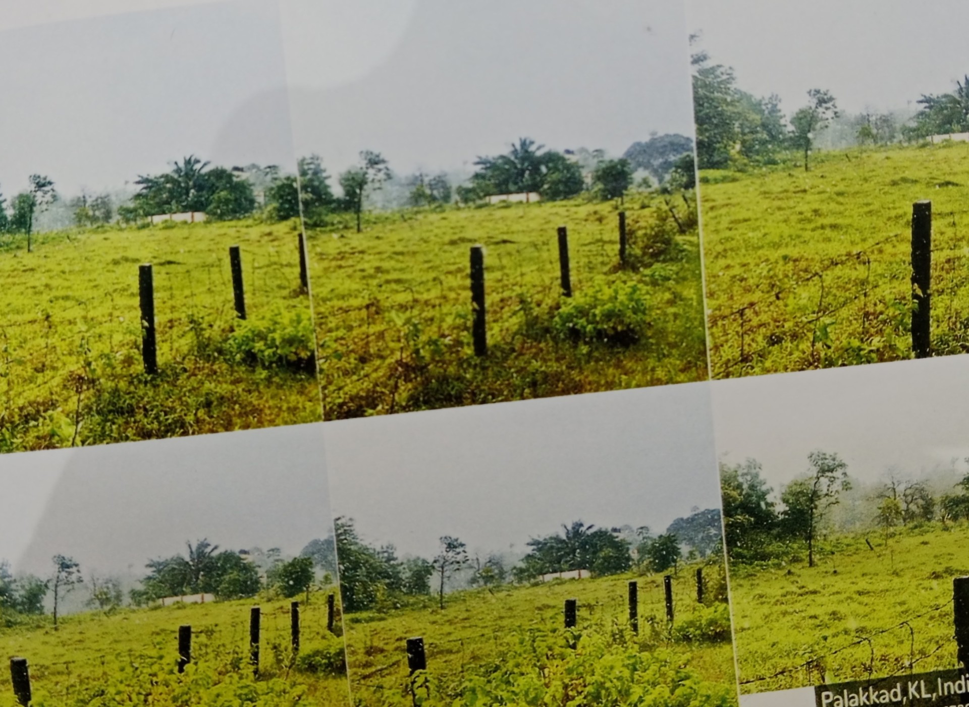 4346 square feet Individual House for sale in PALAKKAD Pudussery