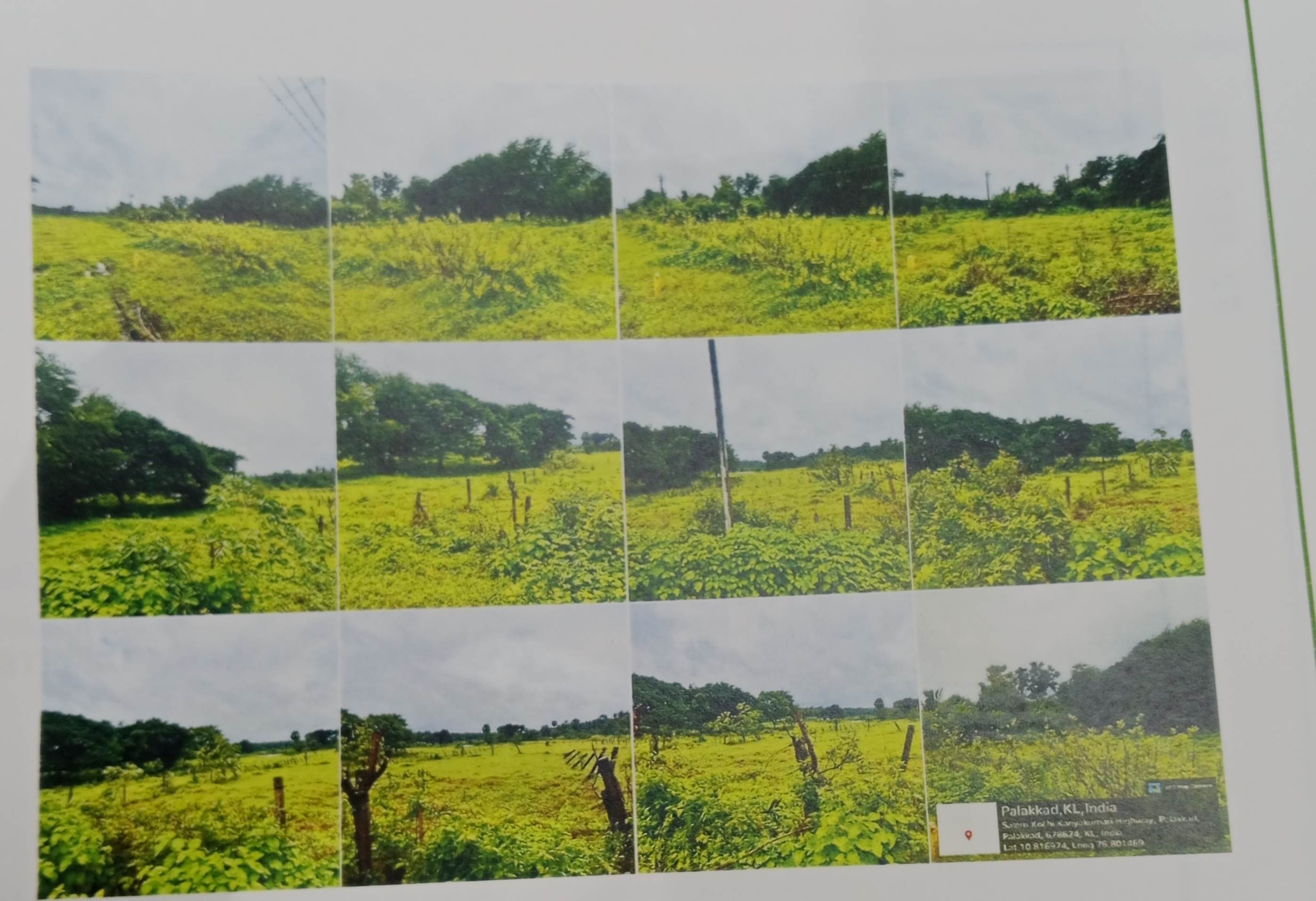 Plot for sale in PUDUSSERY Pudussery