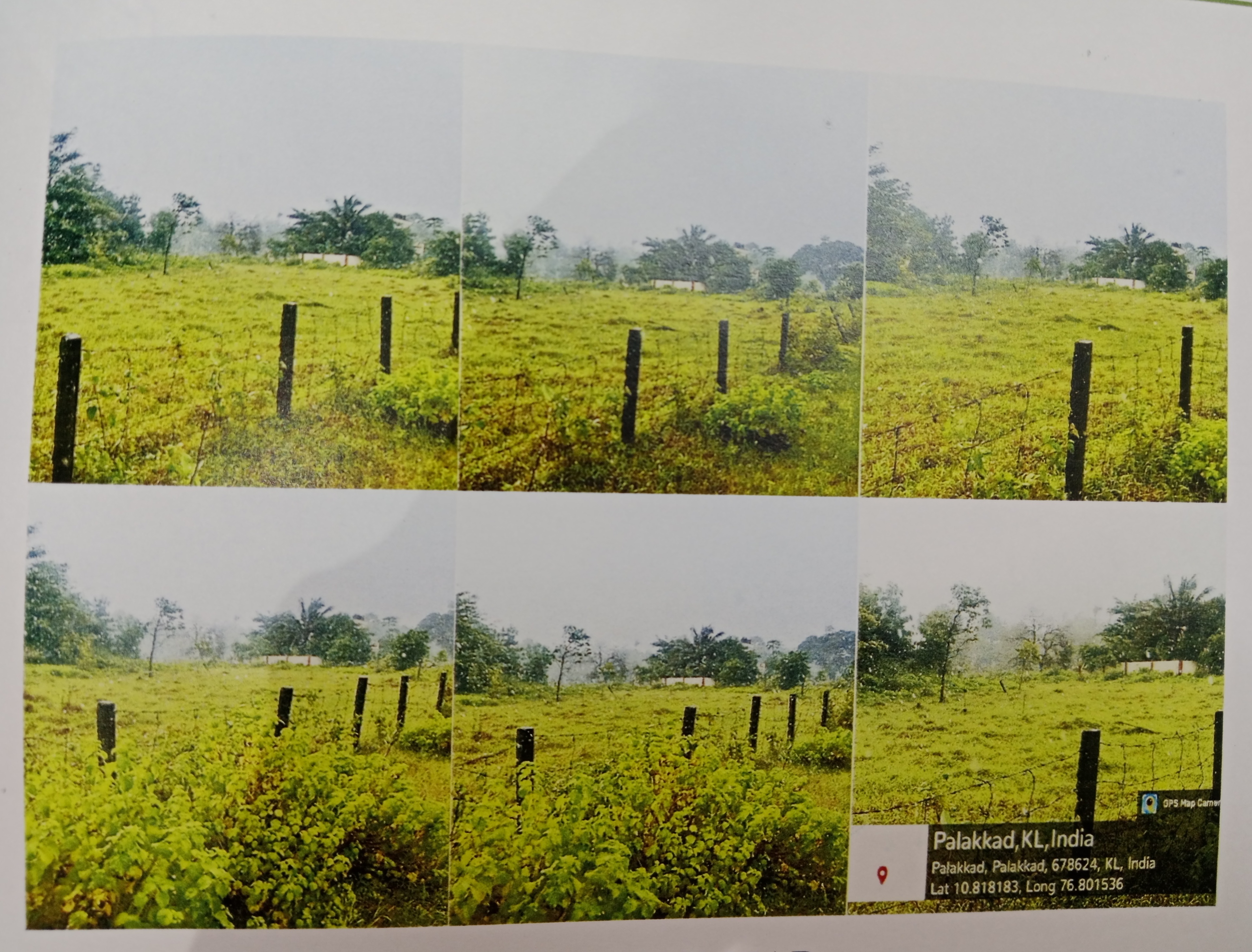 Plot for sale in PUDUSSERY Pudussery
