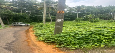 Plot for sale in Malayinkeezhu