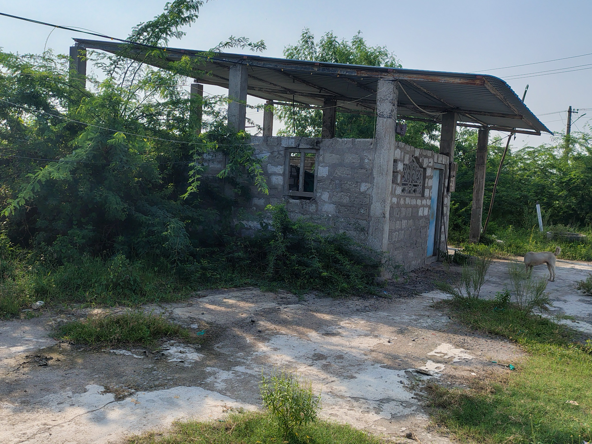 Shops for sale in Machilipatnam — photo 10