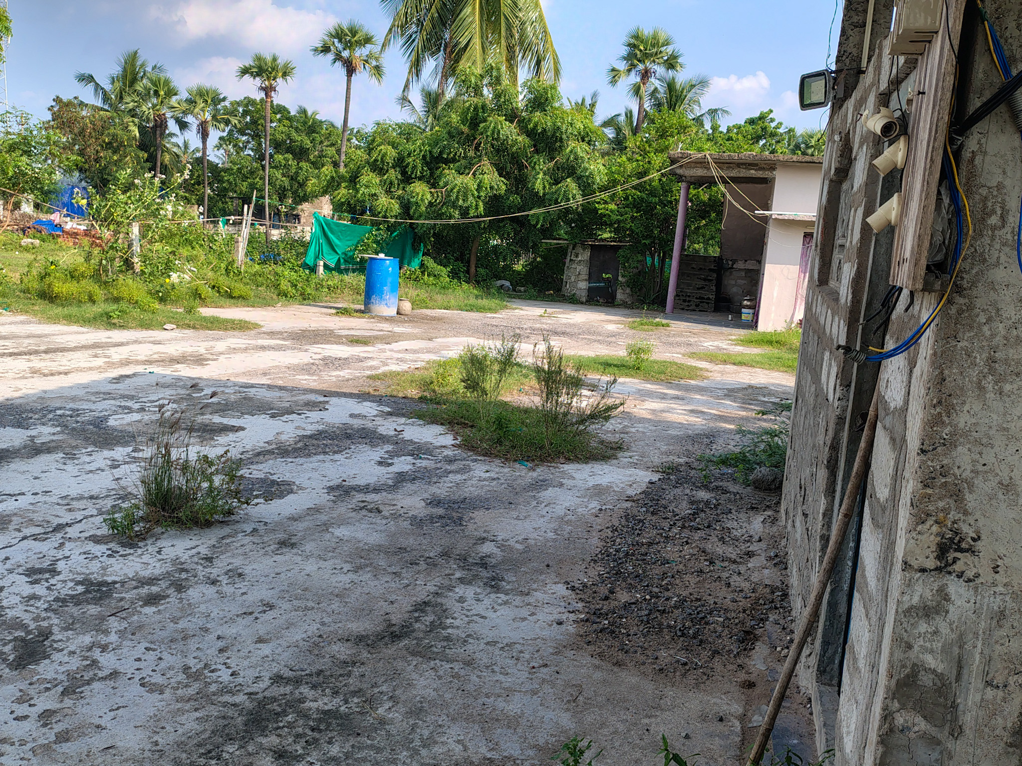 Shops for sale in Machilipatnam — photo 14
