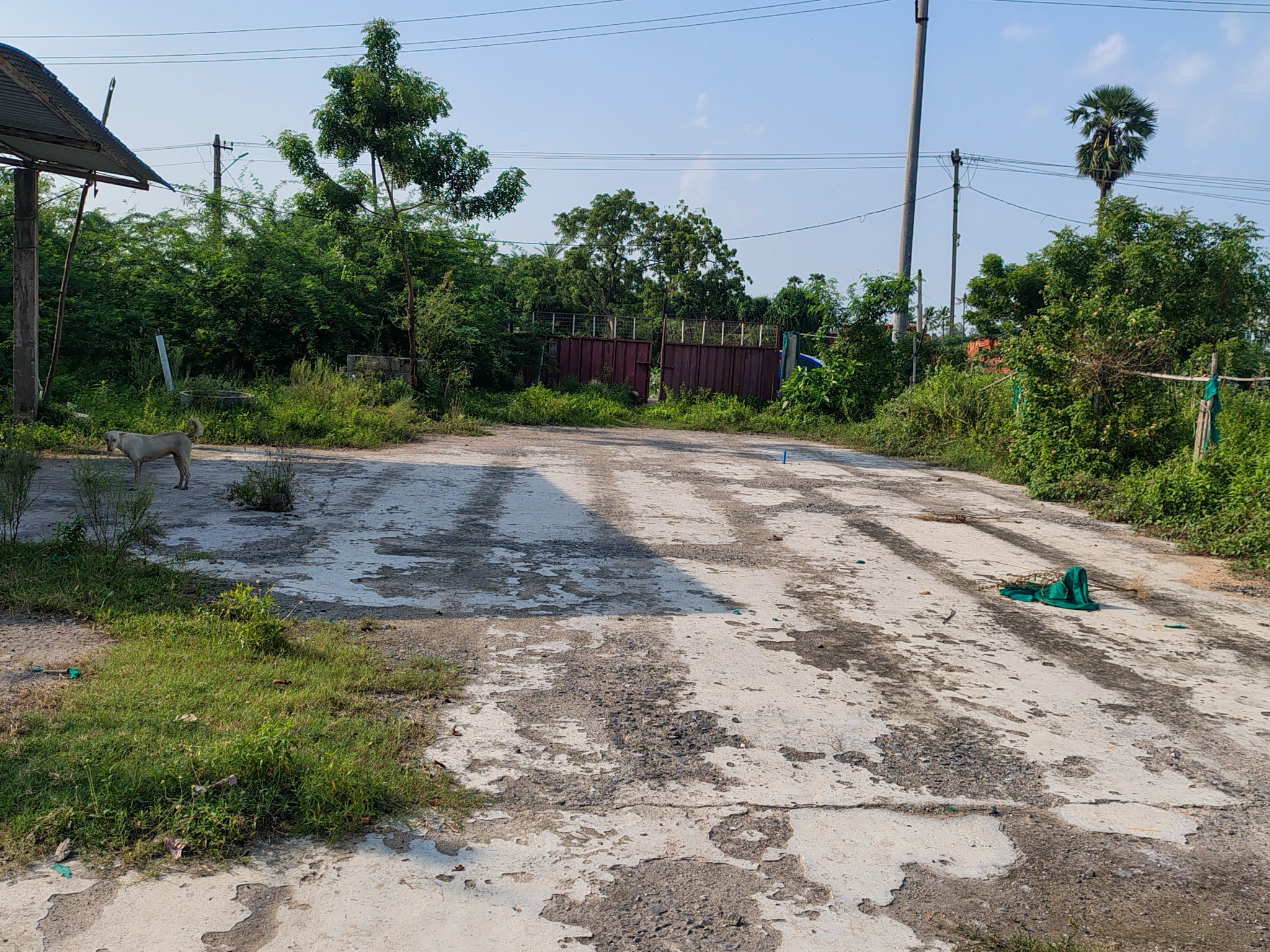 Shops for sale in Machilipatnam — photo 11