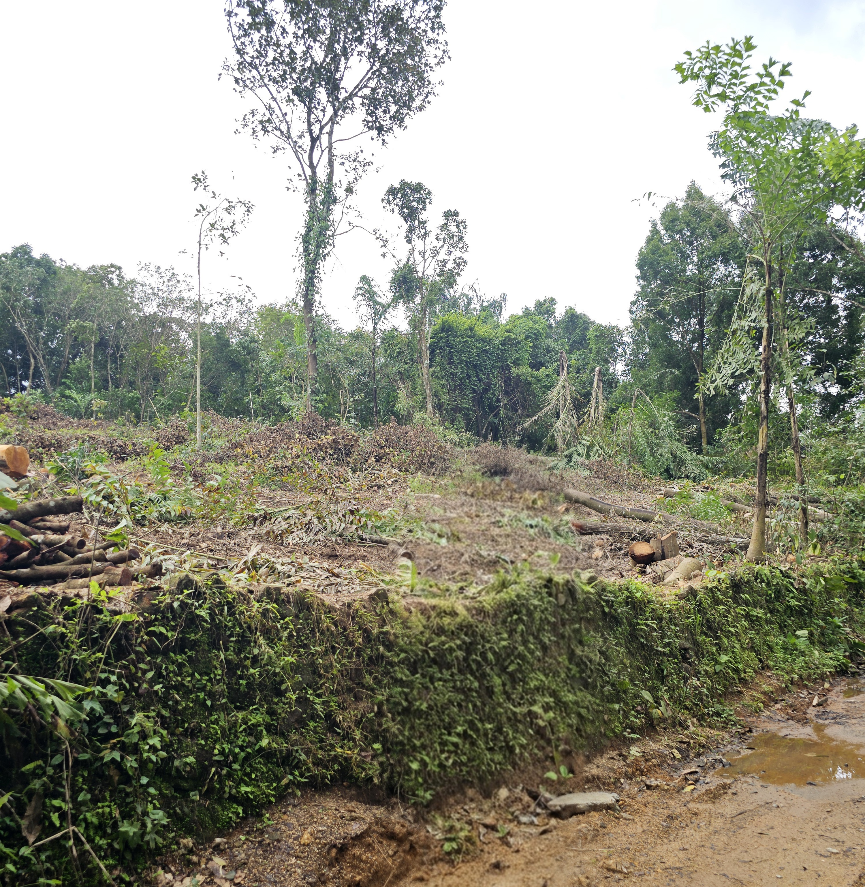 LAND ONLY for sale in Angamaly — photo 1