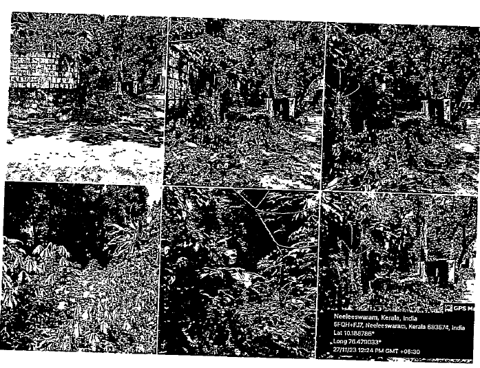 Plot for sale in Kalady — photo 1