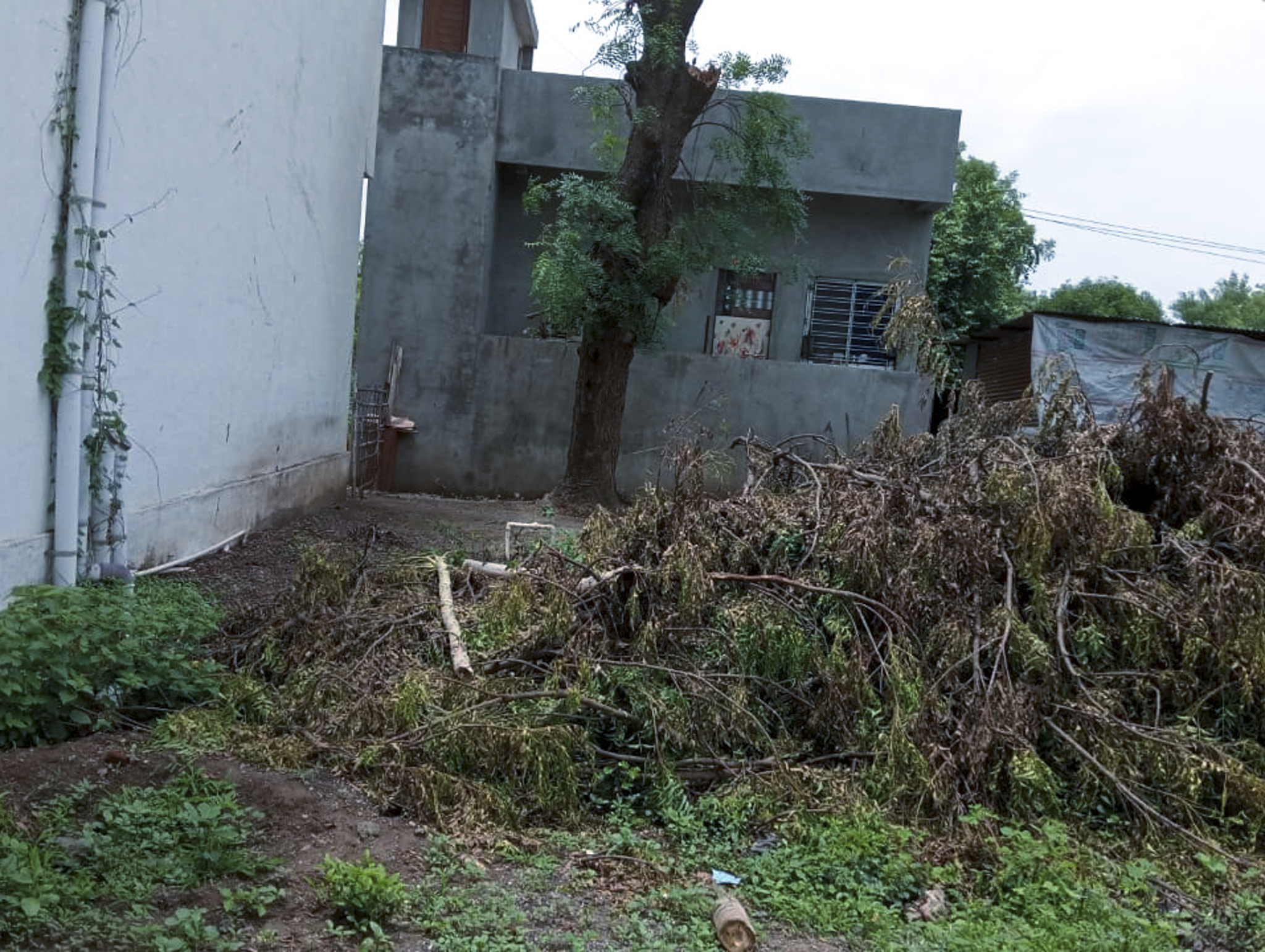 4856.71 square feet Office for sale in VILLAGE Jalgaon — photo 11