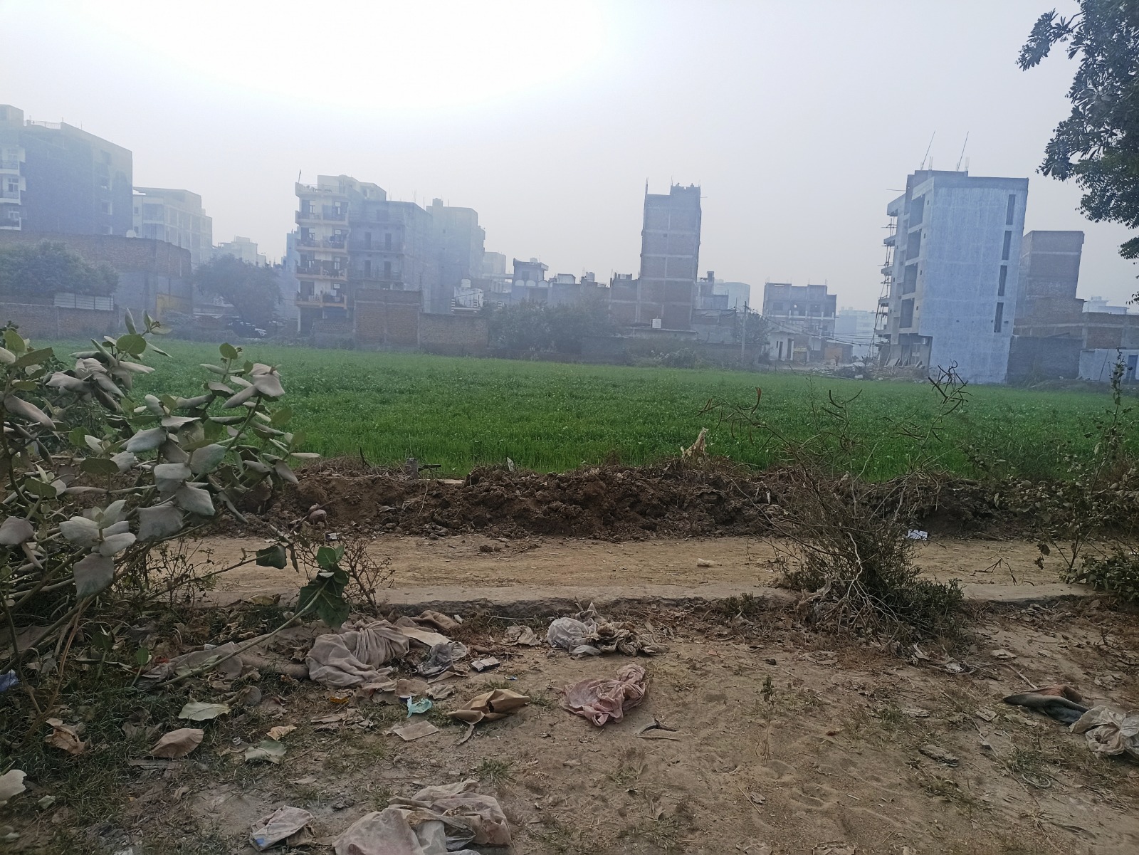 Plot for sale in Patparganj Industrial Area Dadri — photo 2