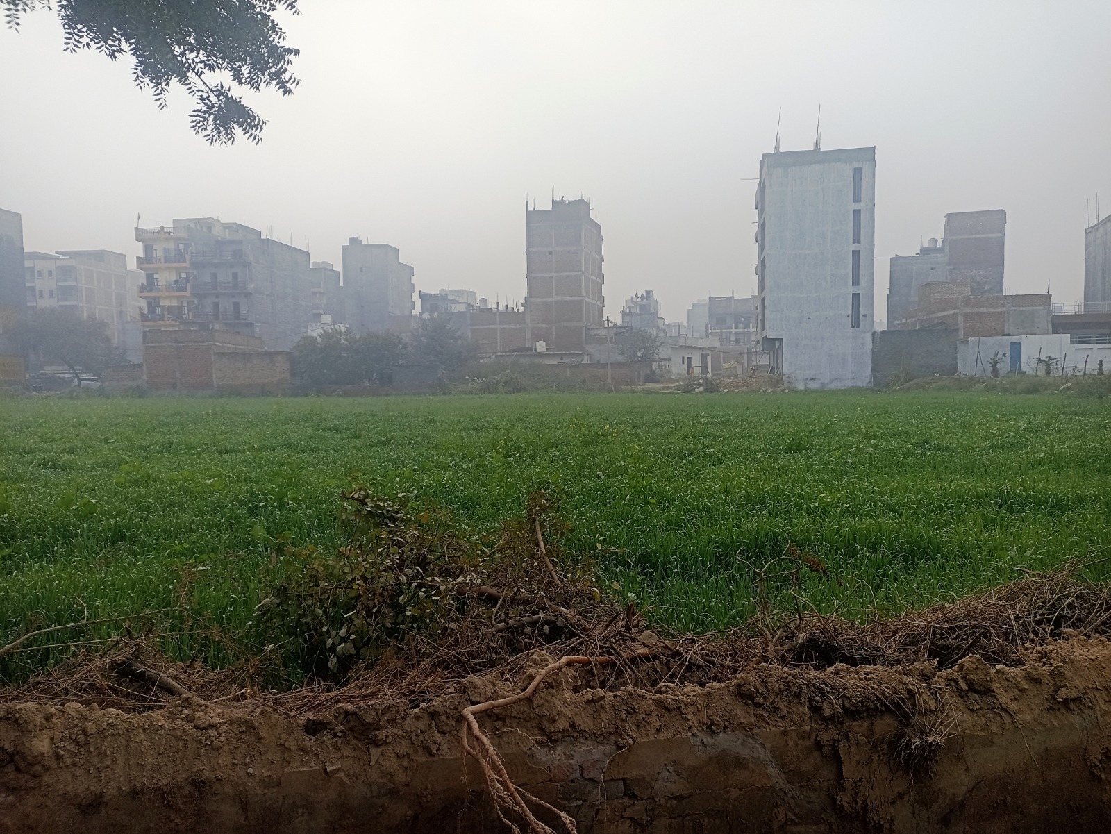 Plot for sale in Patparganj Industrial Area Dadri — photo 5