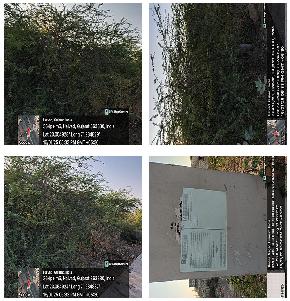 NON AGRICULATURE LAND for sale in Halvad