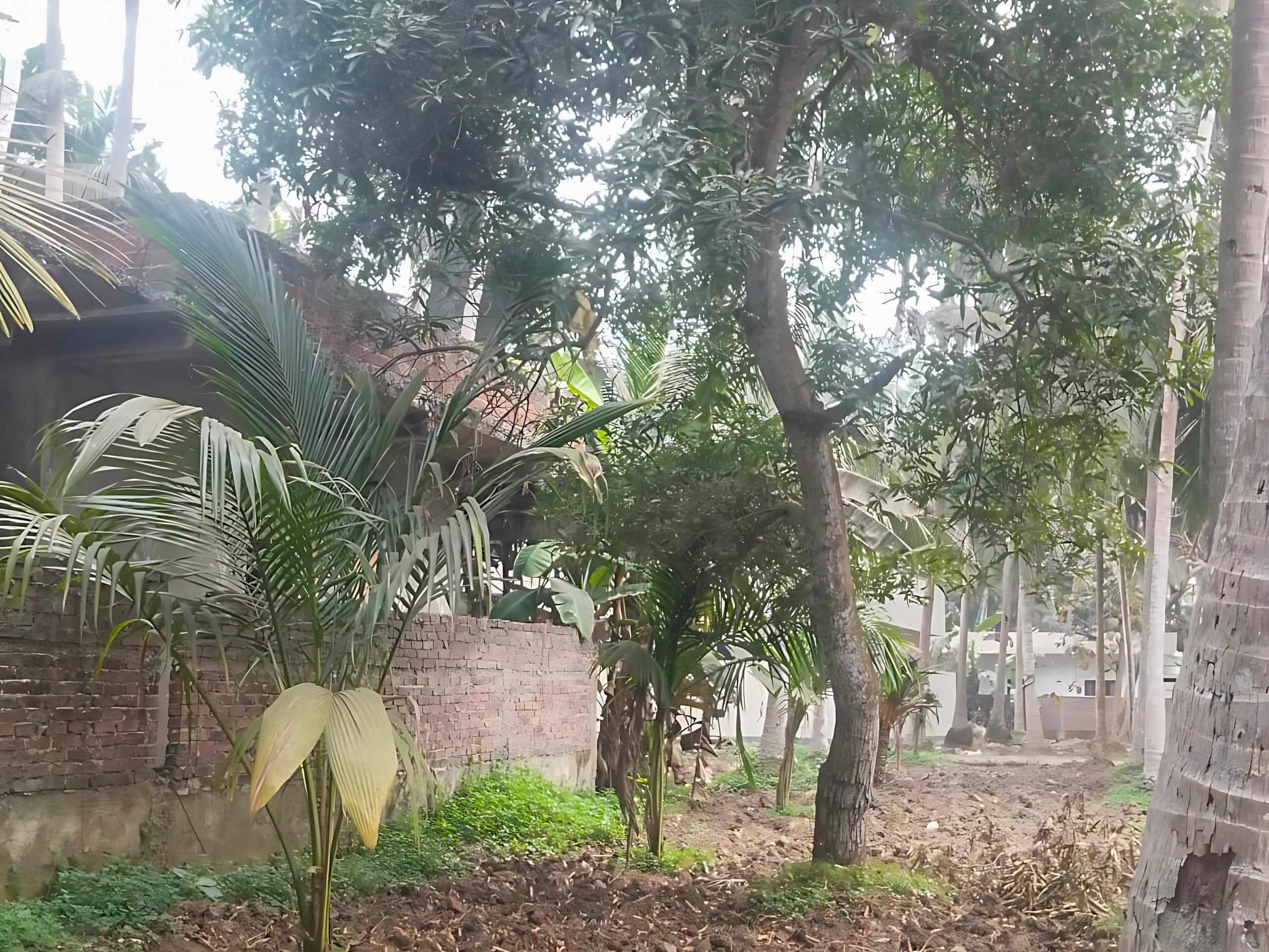 149 square yard Individual House for sale in GROUND AND FIRST FLOOR HOUSE, ALLAVARAM, DR BR AMBEDKAR KONASEEMA DISTRICT, AP Amalapuram — photo 12