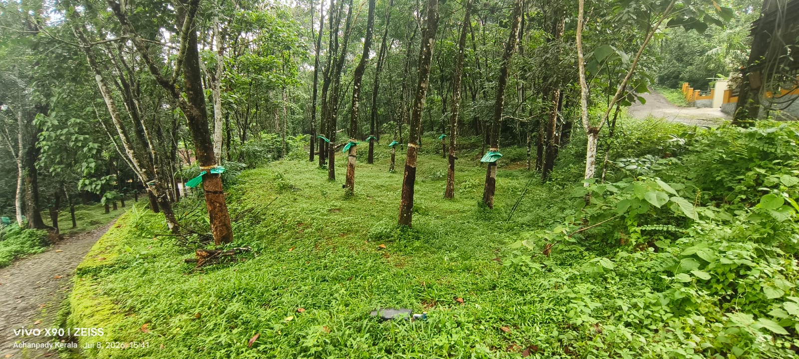 1 square meter Plot for sale in Muvattupuzha — photo 3