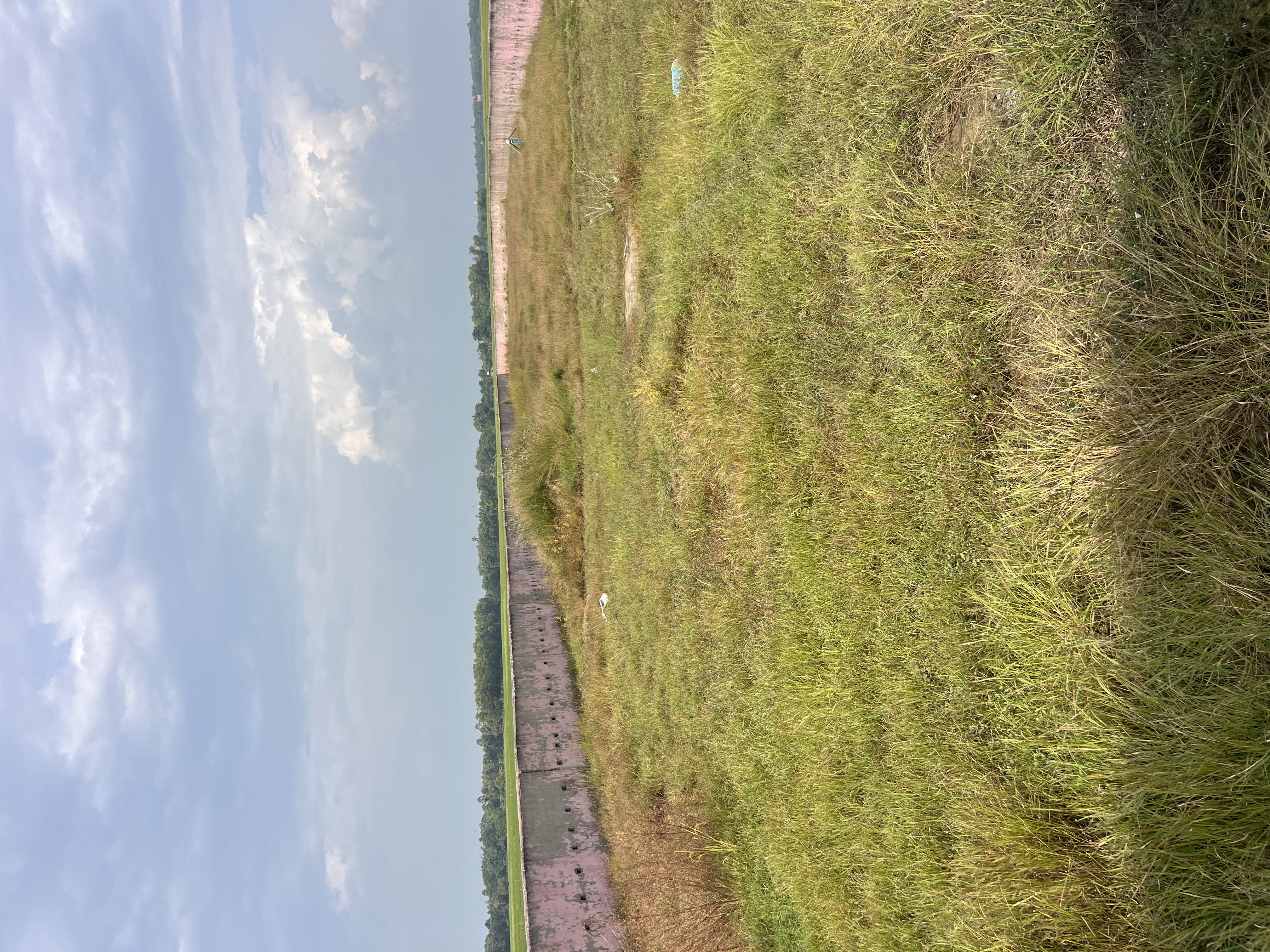 1 BHK Plot for sale in Manor Enterprises Pvt Ltd, Khantapada Baleswar — photo 2