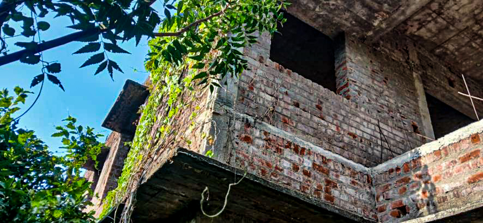 Individual House for sale in Thiruvarur — photo 4