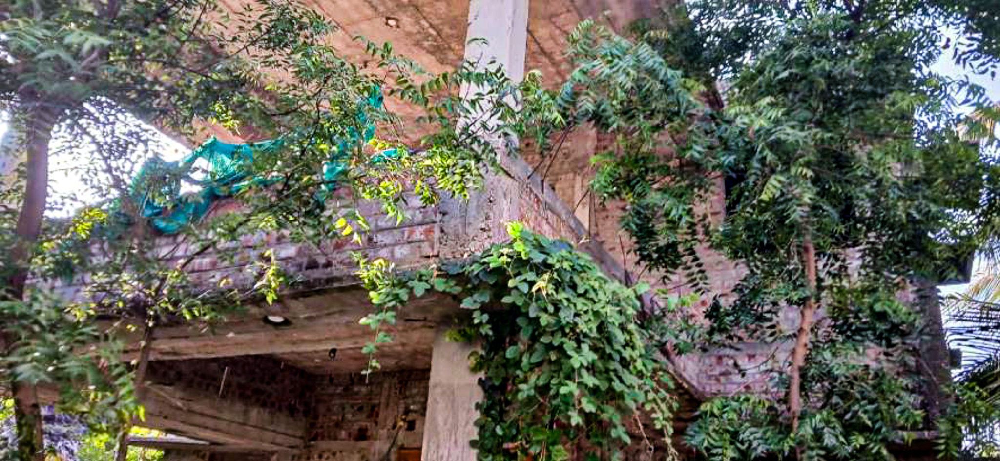 Individual House for sale in Thiruvarur — photo 17
