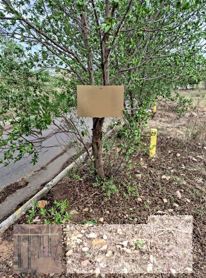 200 square yard Plot for sale in PIGLIPUR Pochampalle — photo 2