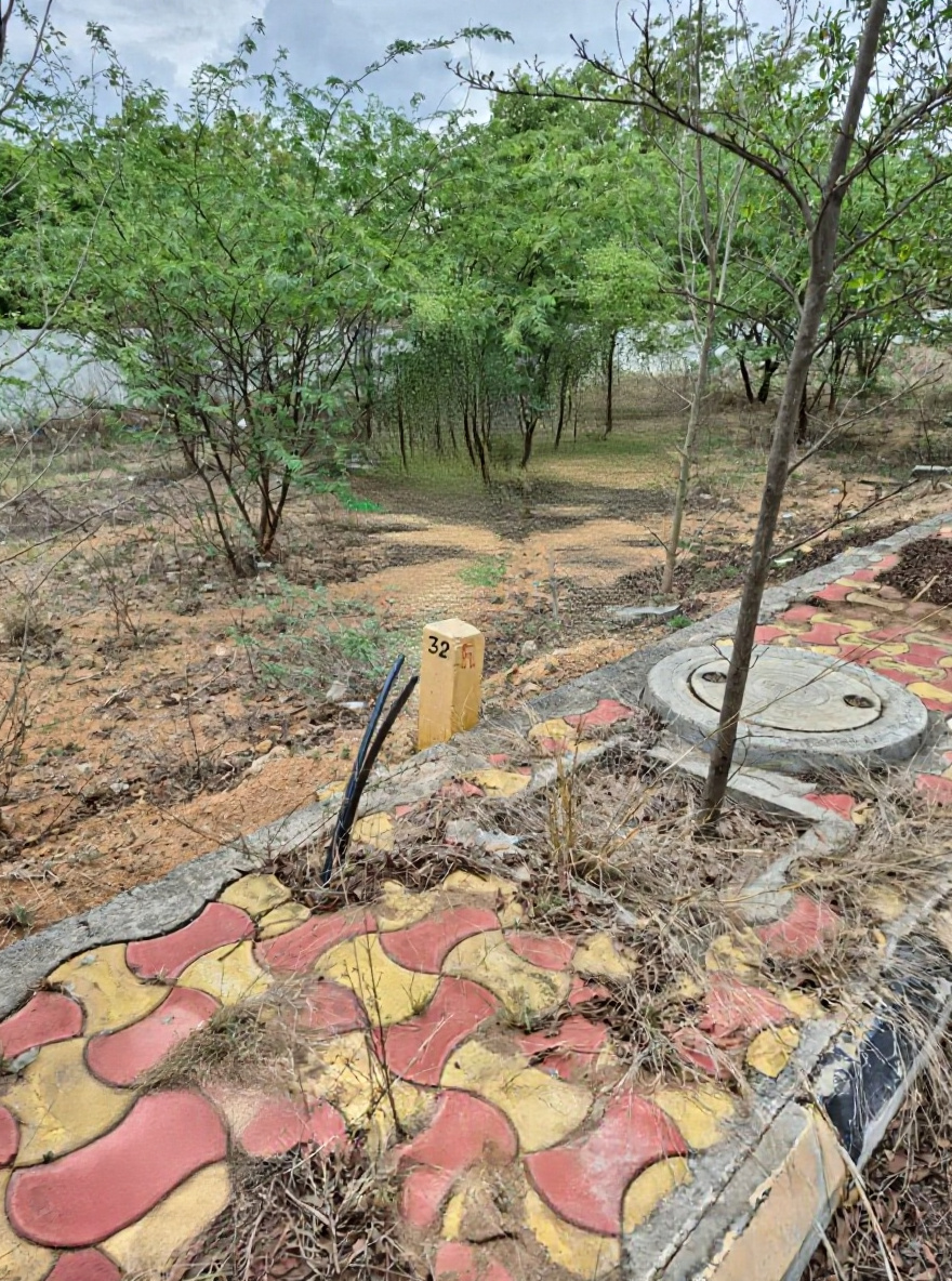 282 square yard Plot for sale in KUNTLOOR ROAD Hyderabad — photo 2