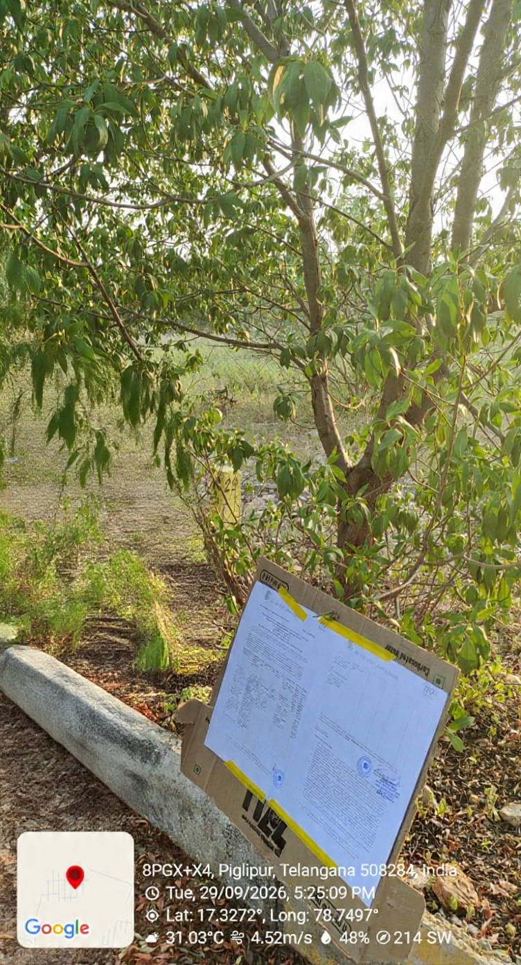200 square yard Plot for sale in PIGLIPUR Pochampalle
