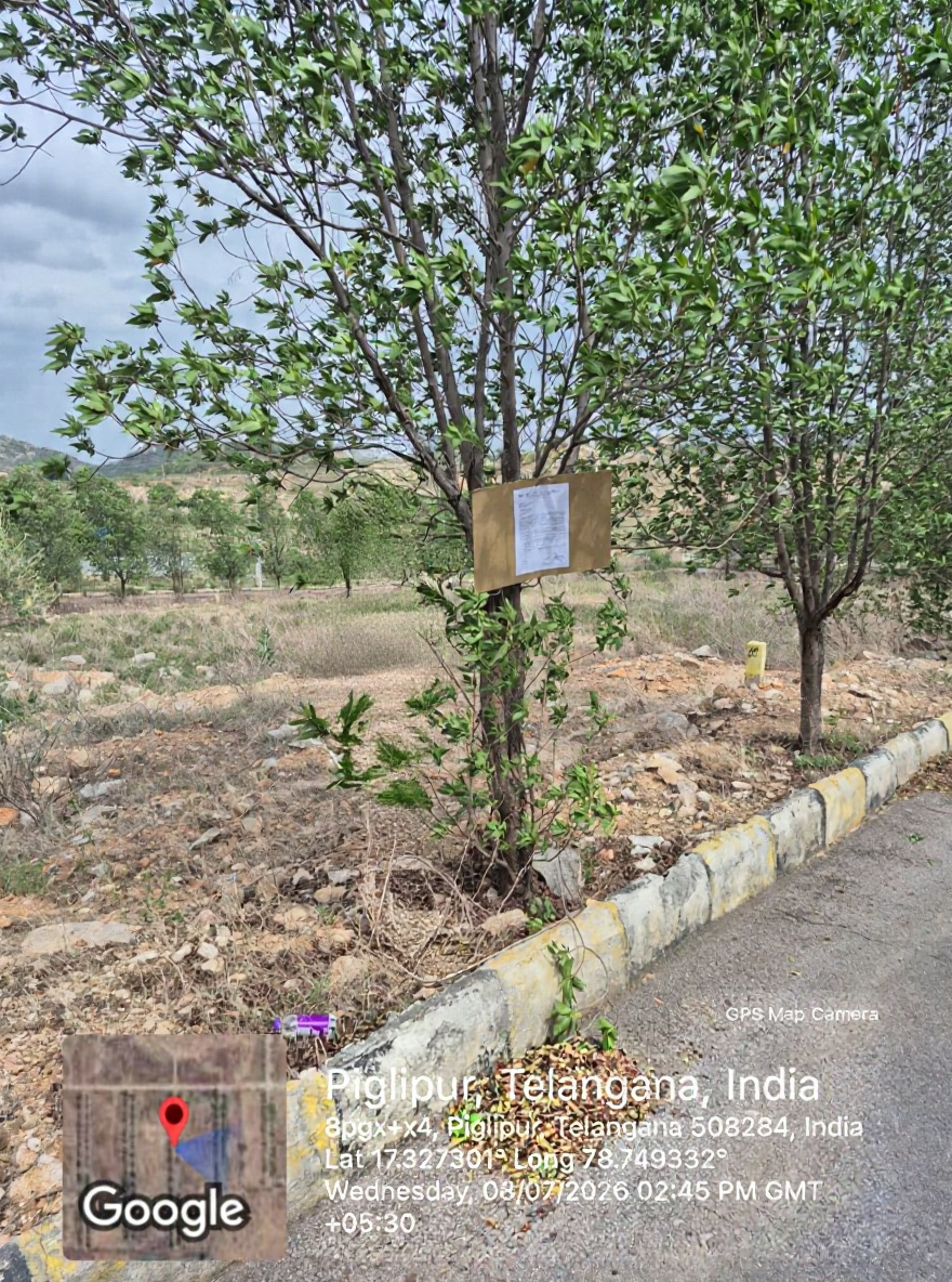 200 square yard Plot for sale in PIGLIPUR Hyderabad
