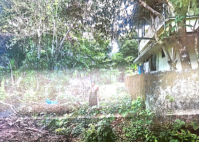 Plot for sale in Kedamangalam — photo 1