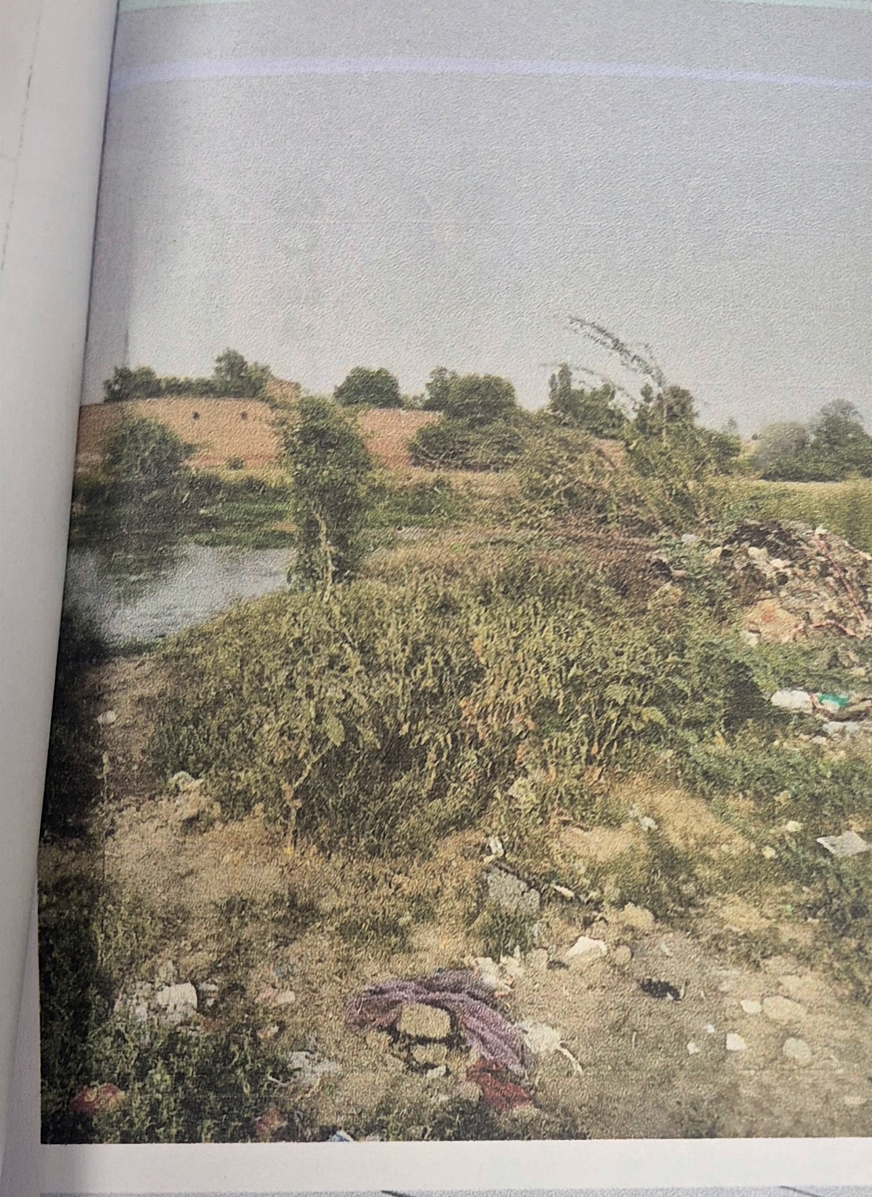 6382 square yard Plot for sale in Muktsar Kotkapura — photo 2